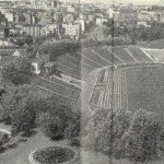 Республиканский стадион и район рядом на панорамном фото 1957 года