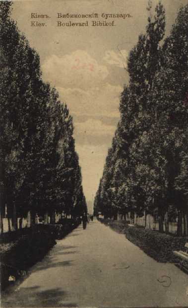 Тополиная аллея на Бибиковском бульваре в начале 20 века