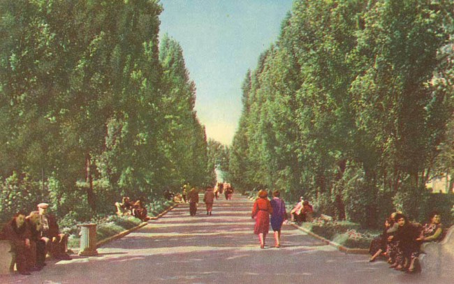 Ботанический сад имени Фомина в 50-х годах