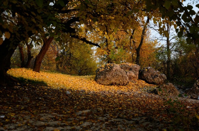 Осенью на Трухановом острове, Киев