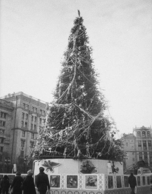 Новогодние елки на Майдане в Киеве