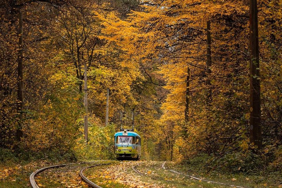 Трамвай в Пуще-Водице, золотая осень