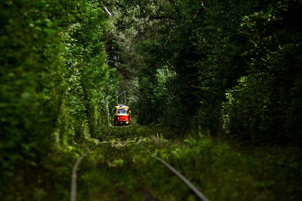 Трамвай в Пуще-Водице, лето