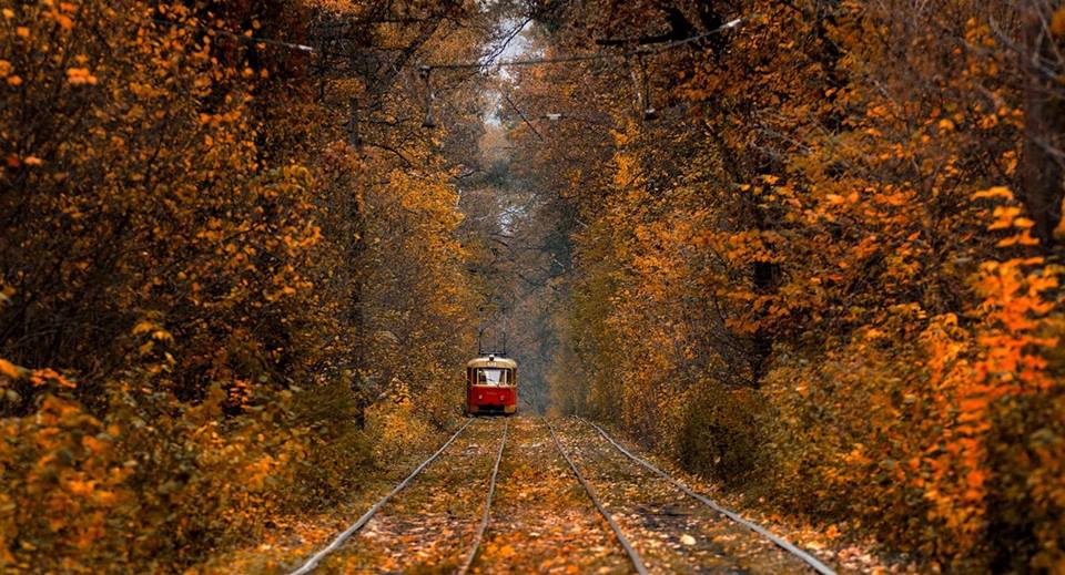 Трамвай в Пуще-Водице, осень