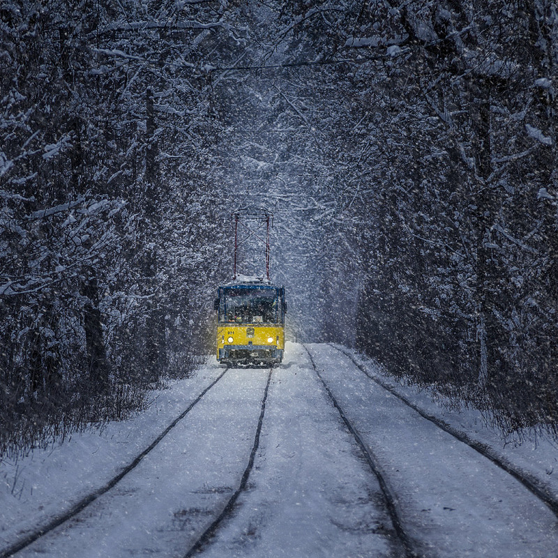 Зимний трамвай Пуща-Водица