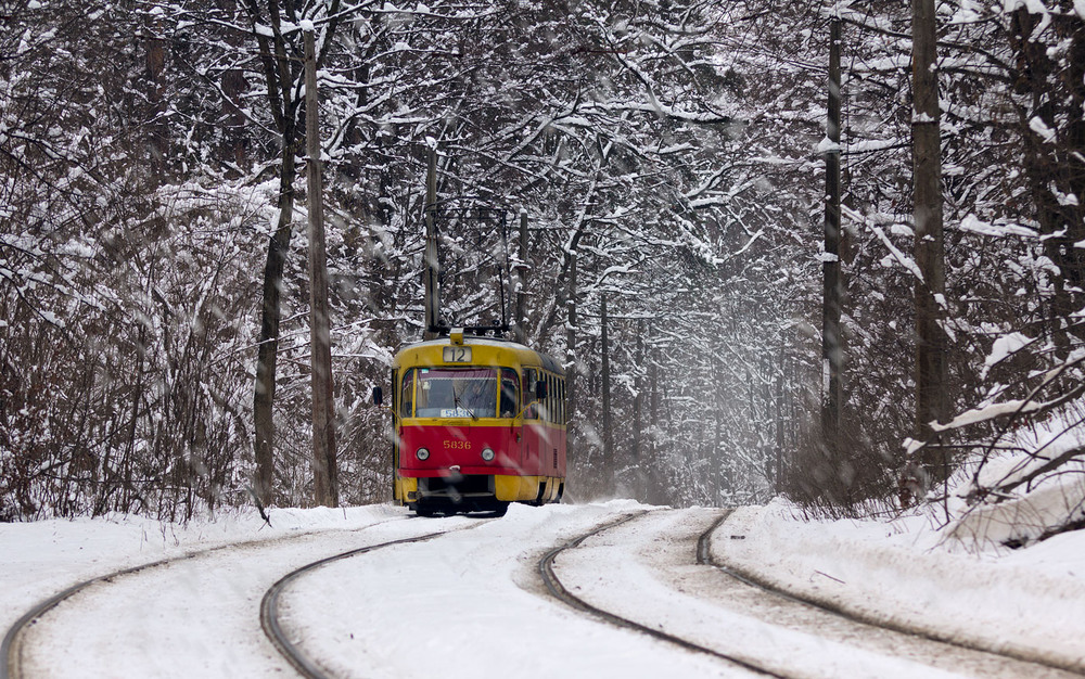 Трамвай в зимней Пуще